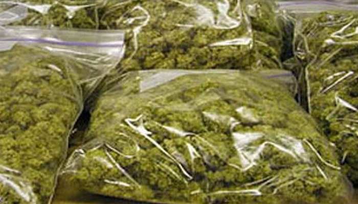 फाइल फोटो