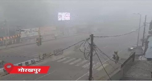 गोरखपुर में गलन पड़ रही है। ठंड से बचने के लिए लोग अलाव के पास बैठे दिखे।